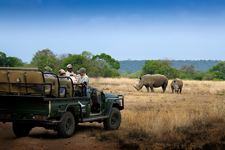 Grande Safari Deluxe na África do Sul 